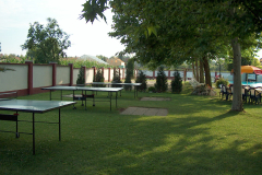 ping-pong asztal