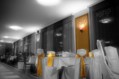 20100123_025